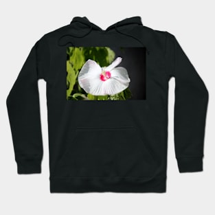 White Tropical Hibiscus Hoodie